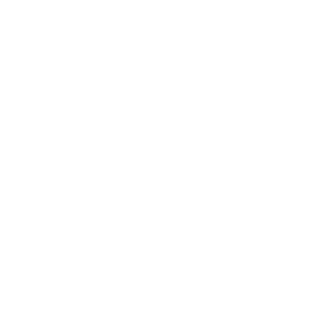 THE STATIC VOID